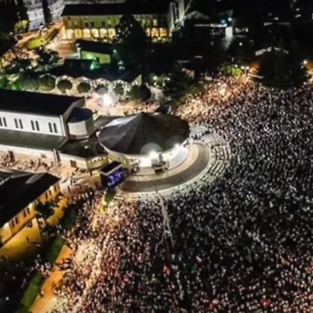 Carpinus Willa Široki Brijeg